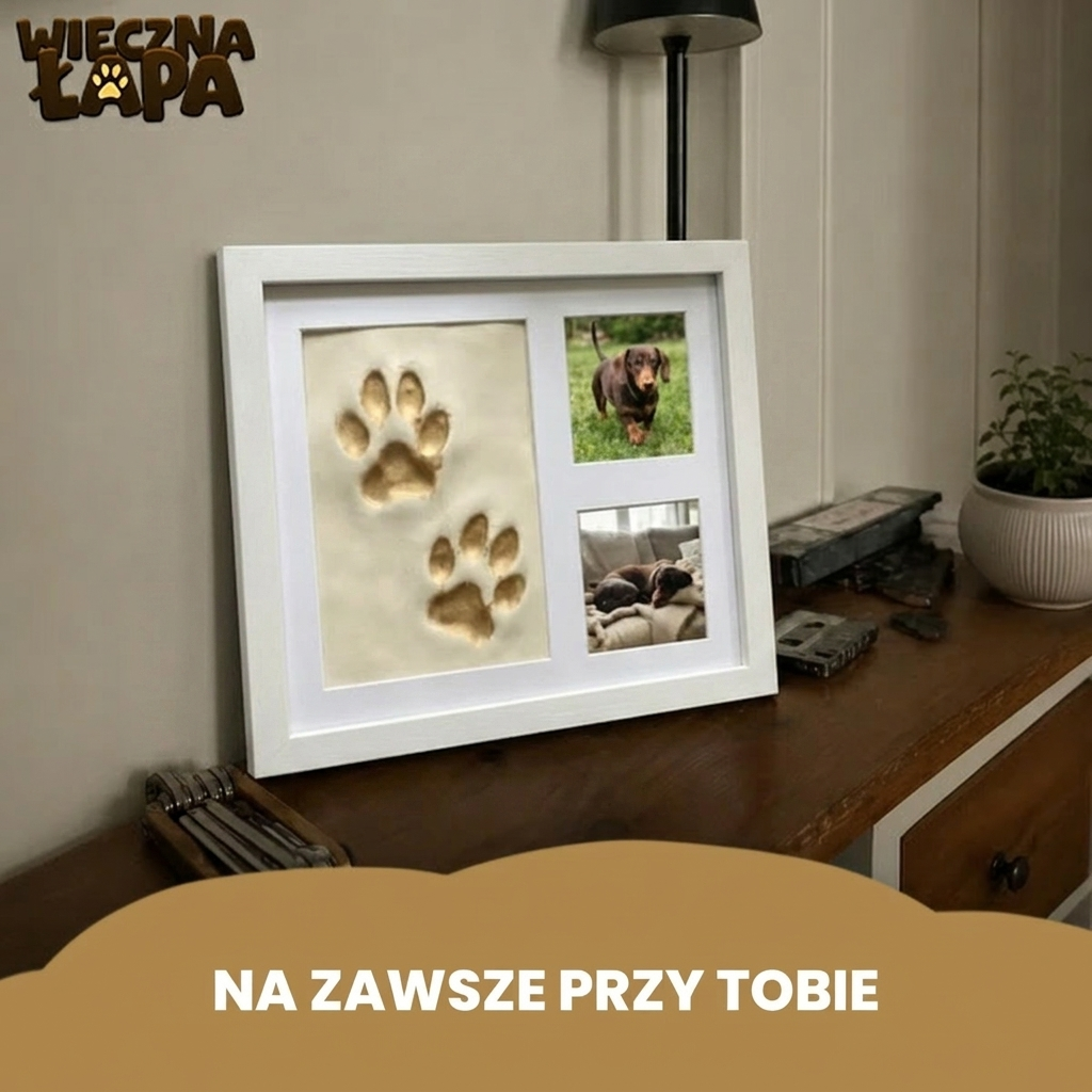 Zestaw "Wieczna Łapka"